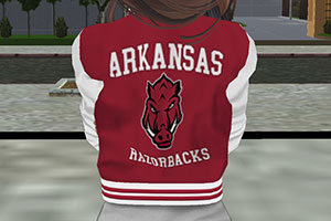 Arkansas Razorbacks Varsity Jacket