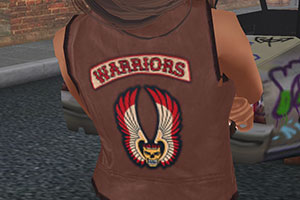 Warriors Vest